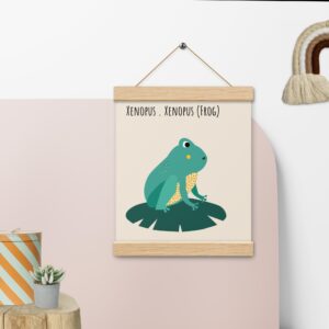 Poster Xenopus Frosch DE+ENG mit Aufhängern